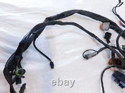 Harley Davidson Road King Street Electra Glide NON-ABS Main Wire Wiring Harness