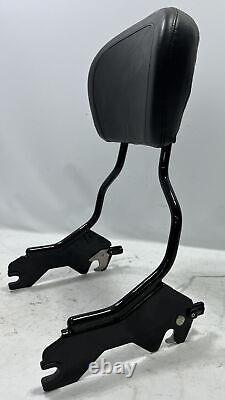 Barre de support passager détachable Genuine Harley Road King Street Glide