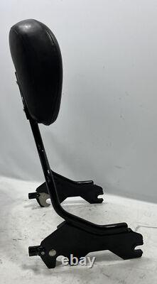 Barre de support passager détachable Genuine Harley Road King Street Glide