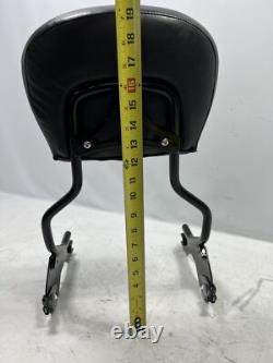 Barre de support passager détachable Genuine Harley Road King Street Glide