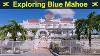 Exploration Du Luxe Pittoresque Du Blue Mahoe à Saint-thomas En Jamaïque