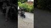 Silencieux Harleydavidson Road King